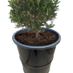 Bac à plantes industriel en baril métal noir 120L avec fleurs