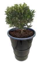 Bac à plantes industriel en baril métal noir 120L avec fleurs