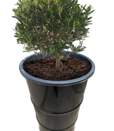 Bac à plantes industriel en baril métal noir 120L avec fleurs