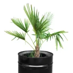 Demi-tonneau industriel 200L transformé en bac à plantes en métal noir