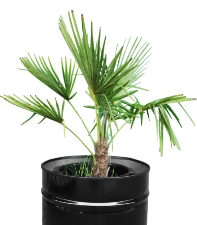 Demi-tonneau industriel 200L transformé en bac à plantes en métal noir