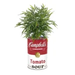 Bac à plantes Campbell’s Soup upcyclé en baril métal vintage
