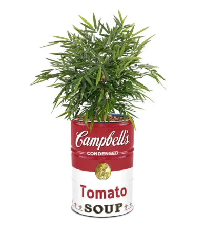 Bac à plantes Campbell’s Soup upcyclé en baril métal vintage