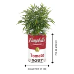Bac à plantes upcyclé Campbell’s Soup 200L – Baril métal vintage industriel 57×87 cm – Image 2