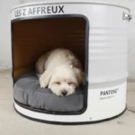 Niche pour chien en baril métal upcyclé avec plateau en bois naturel